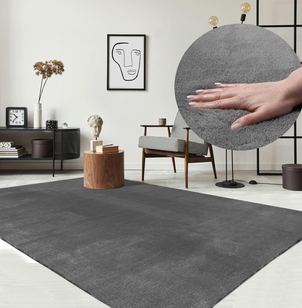 Alfombra the carpet